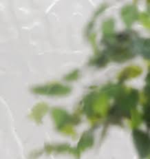 SLAB: Nova-90 Fiberglass Smooth 3/4-lite over 1-Panel direct glazed Flemish glass HVHZ-Impact (unfinished)