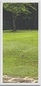 Door Glass Insert: Clear IG(Inert Gass) Non Impact Flat-Frame