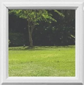 Door Glass Insert: Clear IG(Inert Gass) Non Impact Flat-Frame