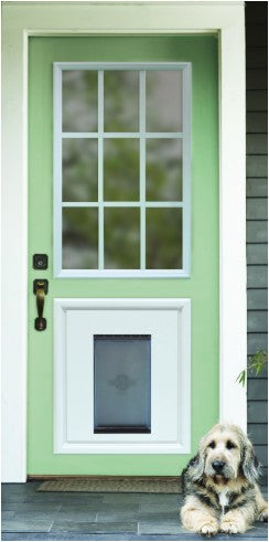 Door Insert: Pet Door