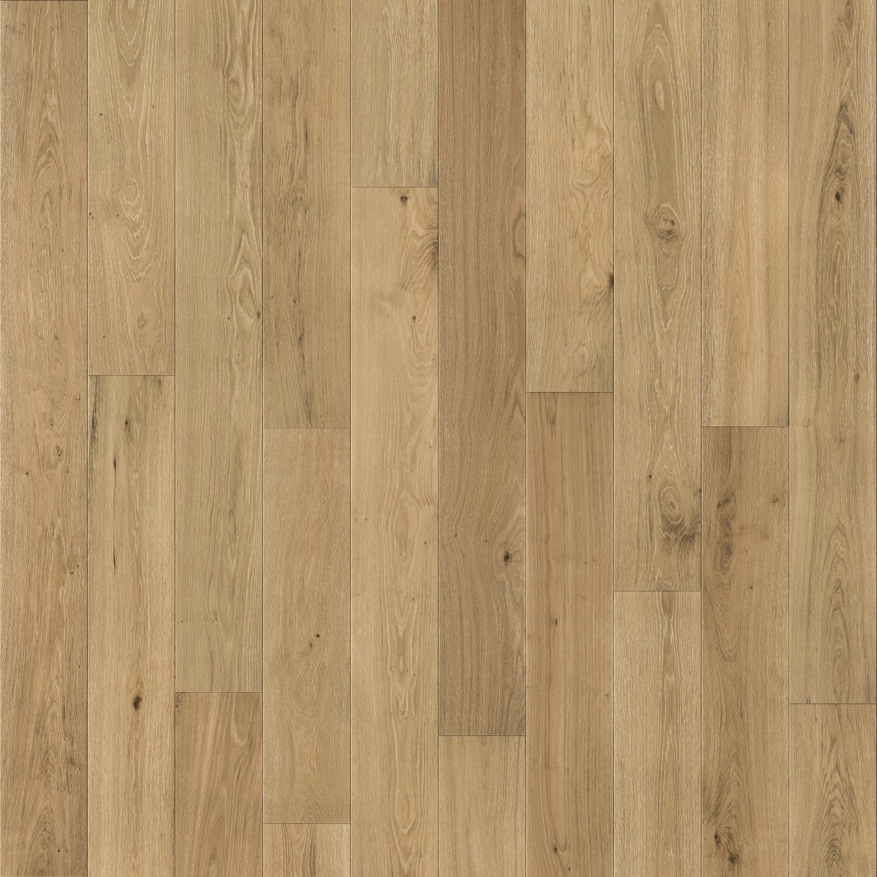 Flooring: ST. AUGUSTINE Engineered Hardwood Pinnacle Select Collection by Naturally Aged Flooring *add 1 handling fee to order